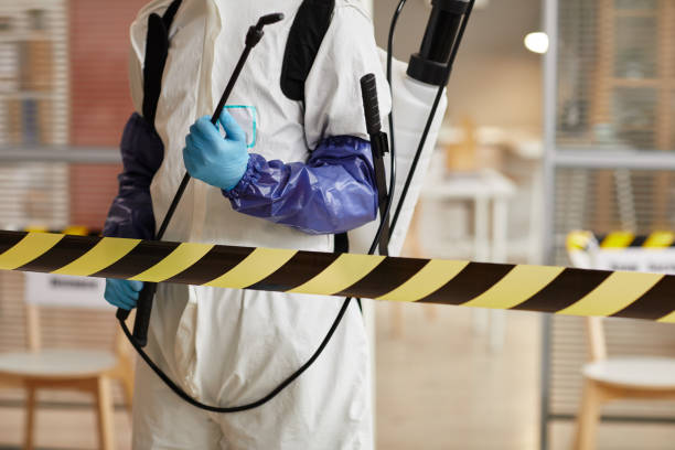 Professional Sewage Cleanup technician working in Palm Desert, CA